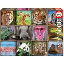 17656 Wild Animals Collage...