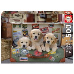 17645 Puppies in the...
