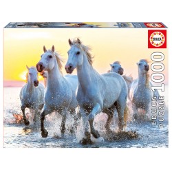 17105 White Horses At...