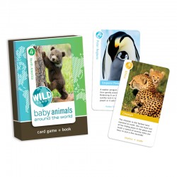 313 Wild Cards: Baby Animals