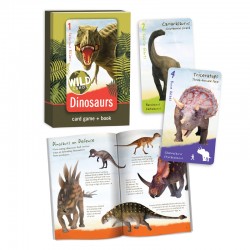310 Wild Cards:  Dinosaurs