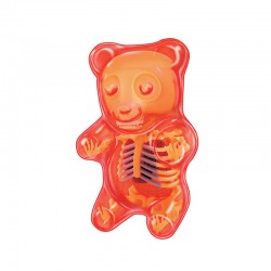 27799 Gummi Bear Anatomy...