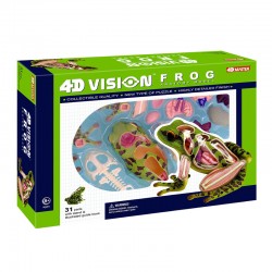 26104 4D Vision Frog...