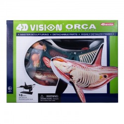 26099 4D Vision Orca...
