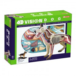 26115 4D Vision Dog Anatomy...