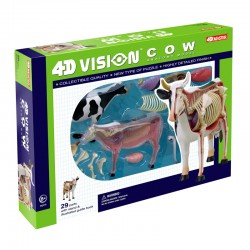 26100 4D Vision Cow Anatomy...