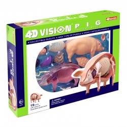26102 4D Vision Pig Anatomy...