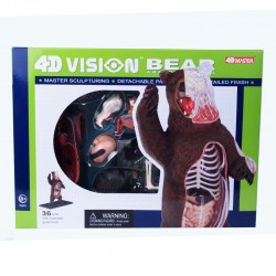 26098 4D Vision Brown Bear...