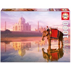 16756 Elephant At Taj Mahal...
